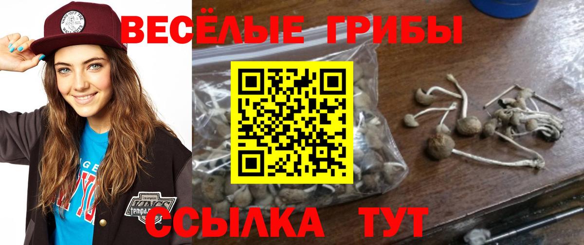 Галлюциногенные грибы прущие грибы Артём