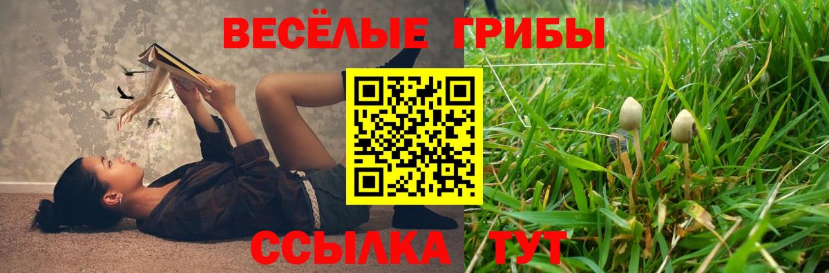 Артём  Псилоцибиновые грибы Magic Shrooms  Вход с VPN 